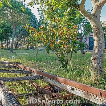 Masseria Macurano Bed & Breakfast Alessano Exterior photo