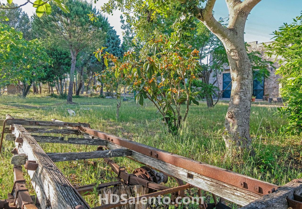 Masseria Macurano Bed & Breakfast Alessano Exterior photo